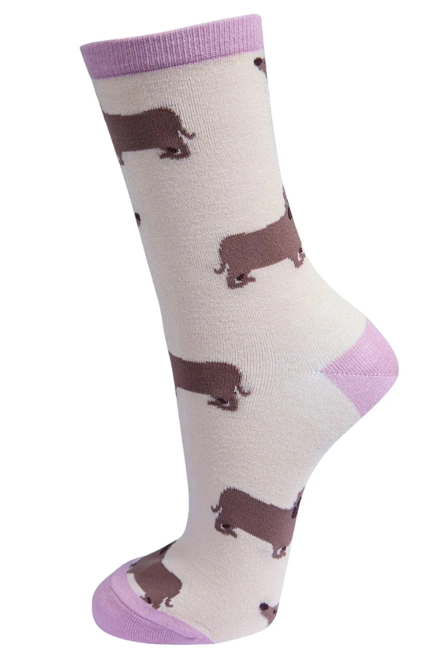 4317CRPP Dachshund Cream Bamboo Socks