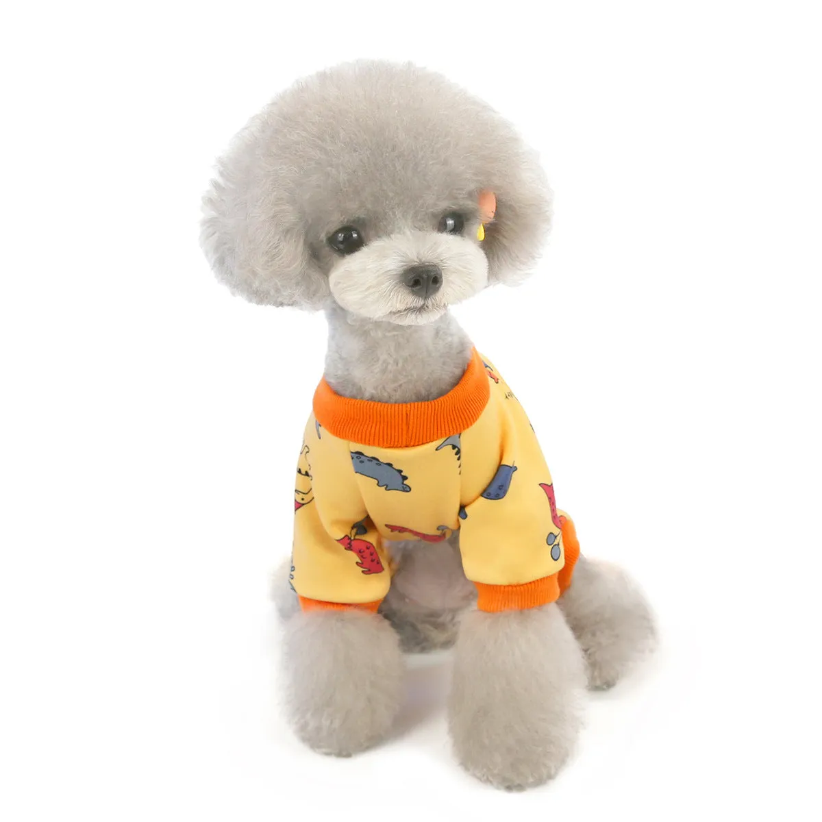 Autumn and winter dog clothes cute home clothes pet clothes