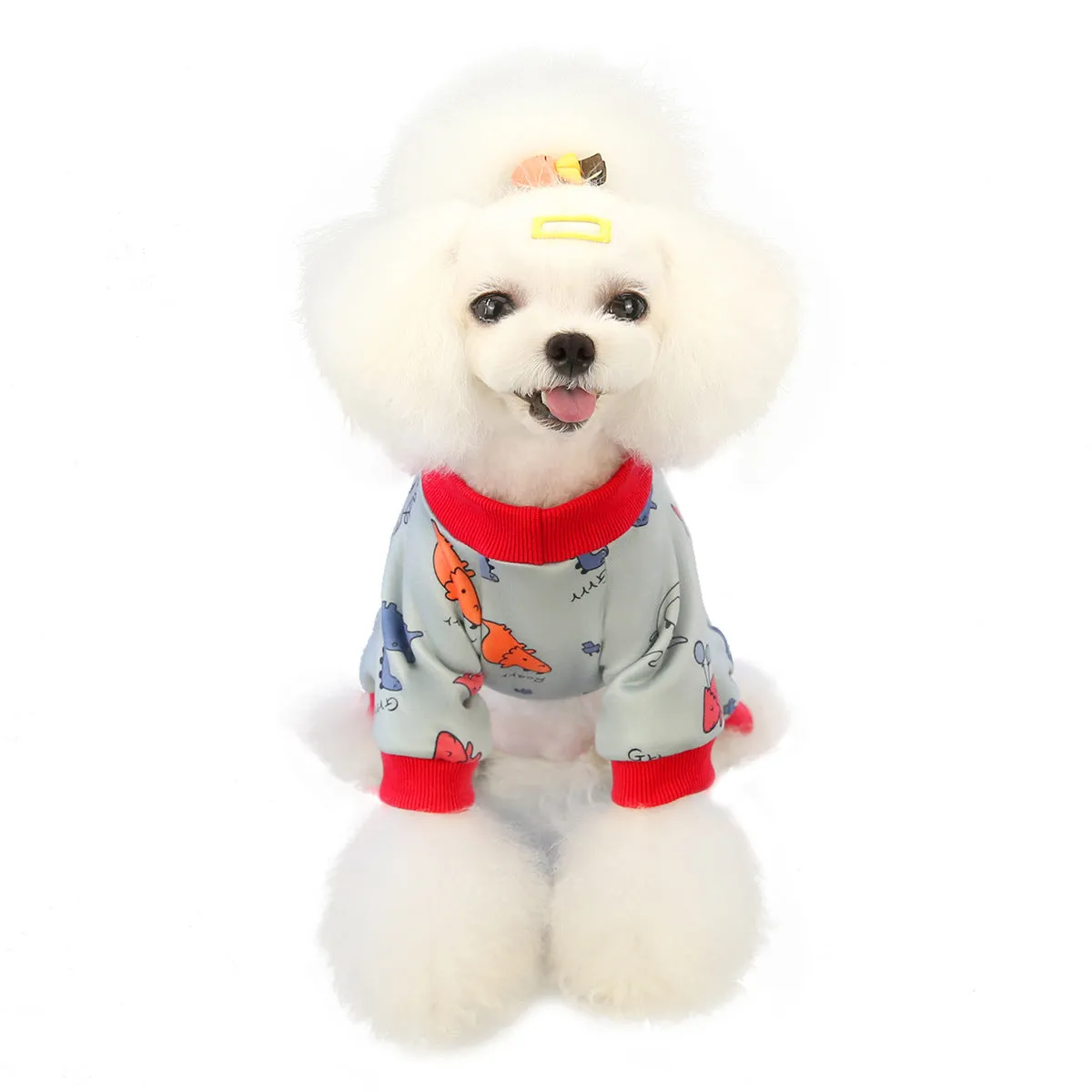 Autumn and winter dog clothes cute home clothes pet clothes