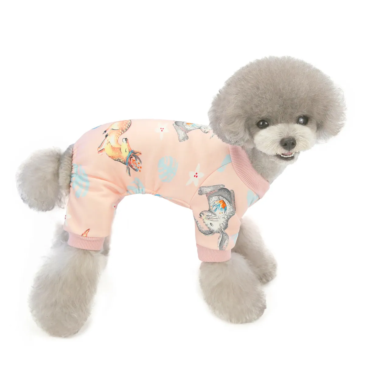 Autumn and winter dog clothes cute home clothes pet clothes