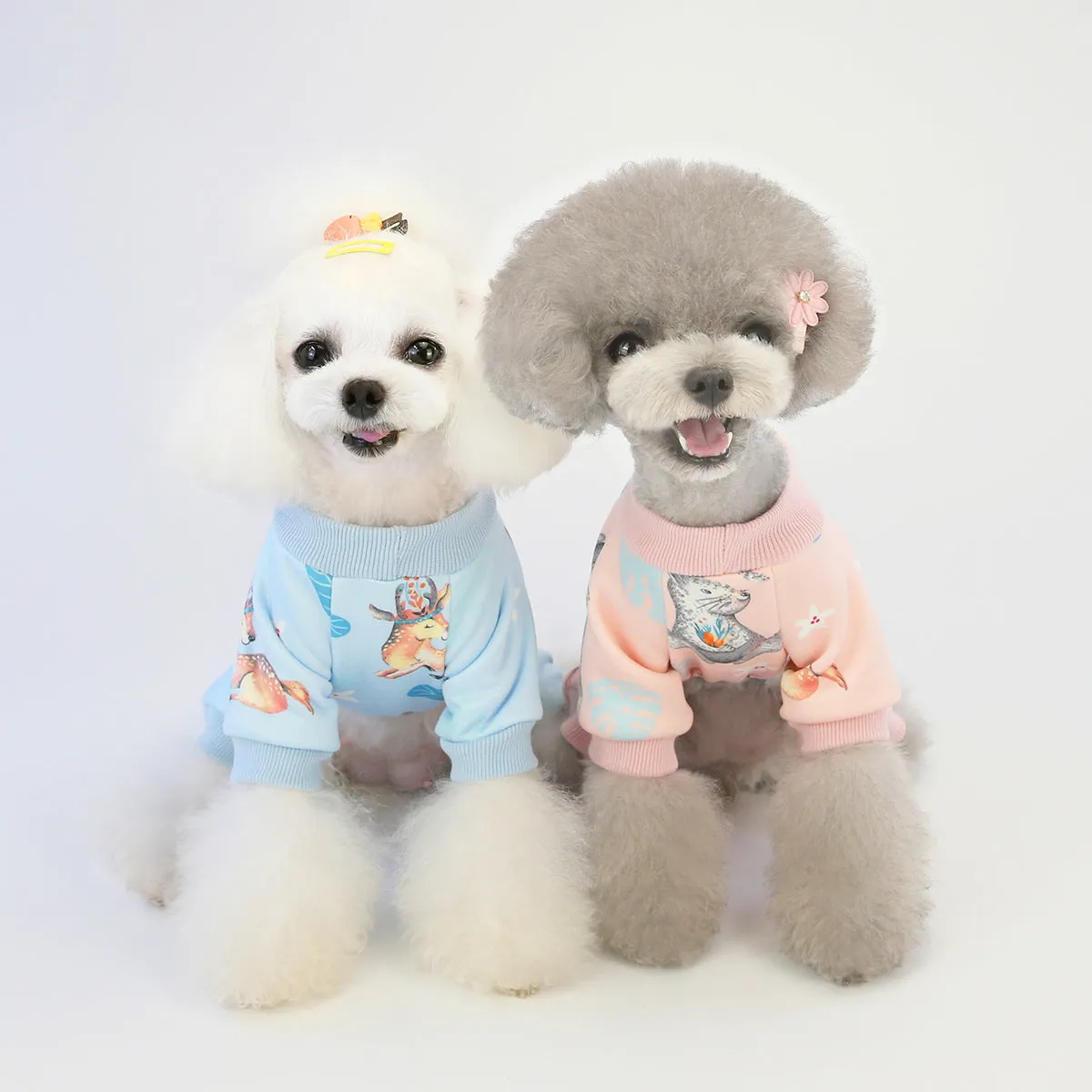 Autumn and winter dog clothes cute home clothes pet clothes