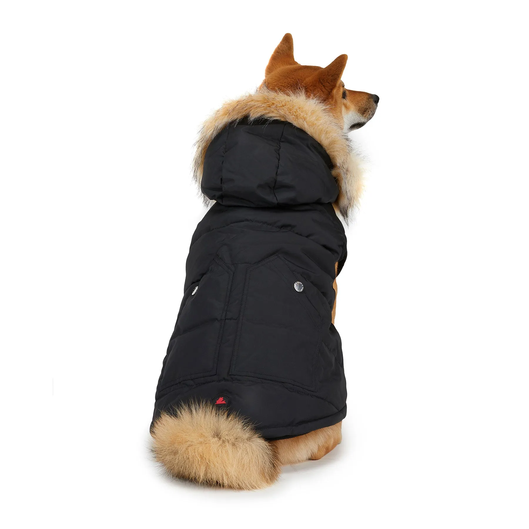 Barnard Jacket for Dogs