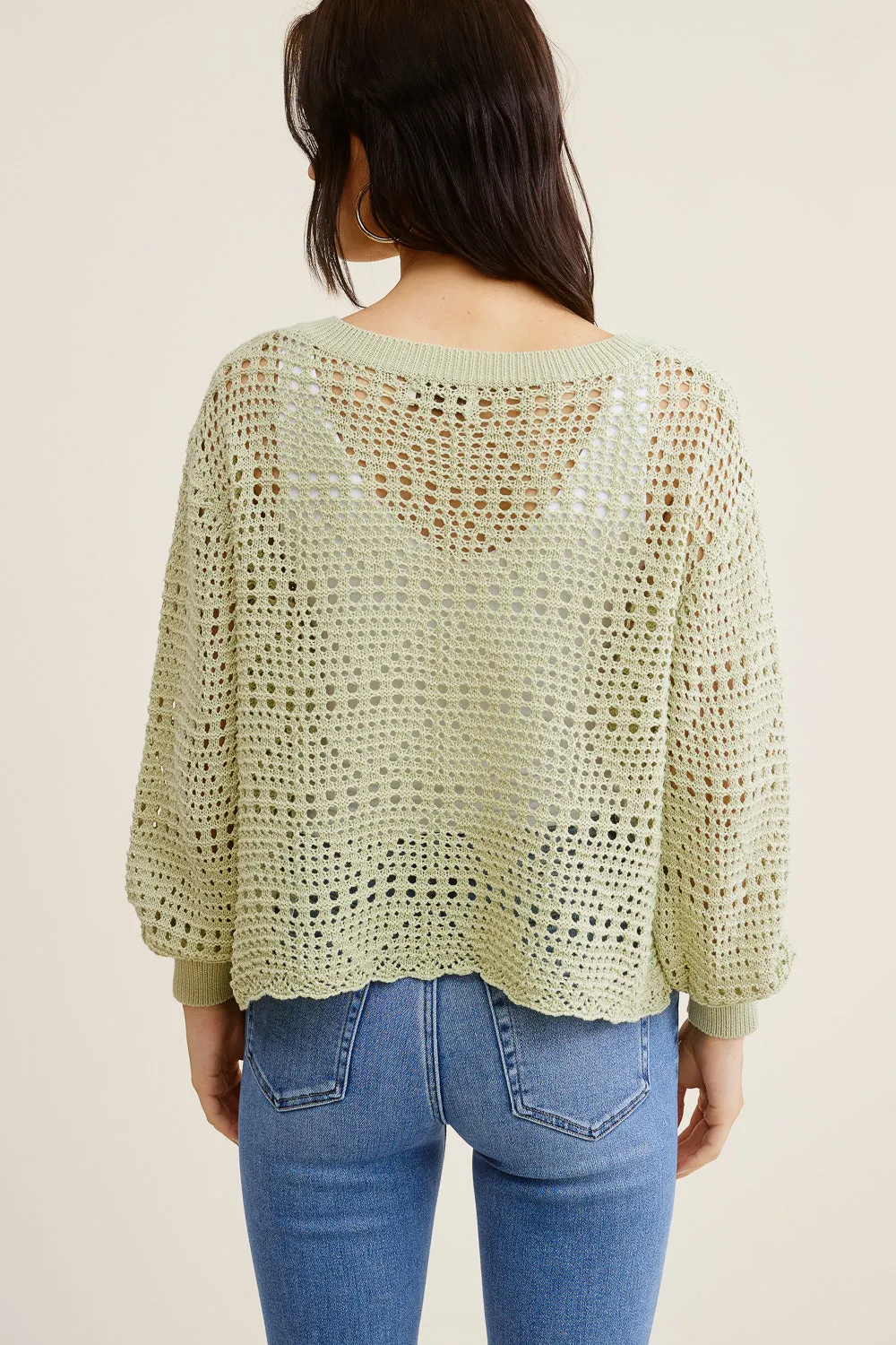 Sage Knit Sweater